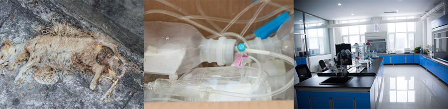 動物（寵物）焚燒爐